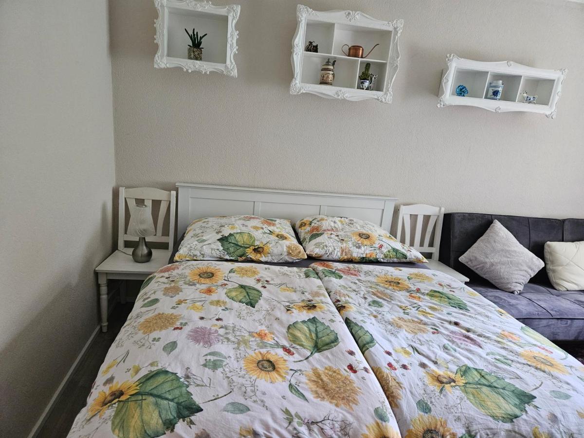 Ferienwohnung 2 Am Park Diwitz エクステリア 写真