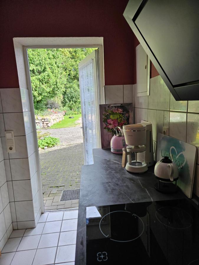 Ferienwohnung 2 Am Park Diwitz エクステリア 写真